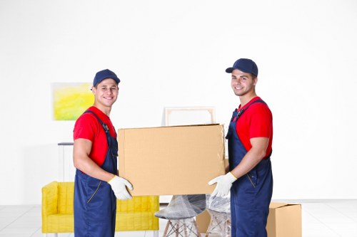 Professional flat removals in Ladbrokegrove with moving van and packed boxes