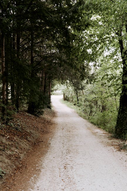 A narrow dirt residential street in Ladbroke Grove, lined with dense green foliage and trees on both sides. The road surface is uneven with visible patches of loose soil and scattered fallen leaves, i